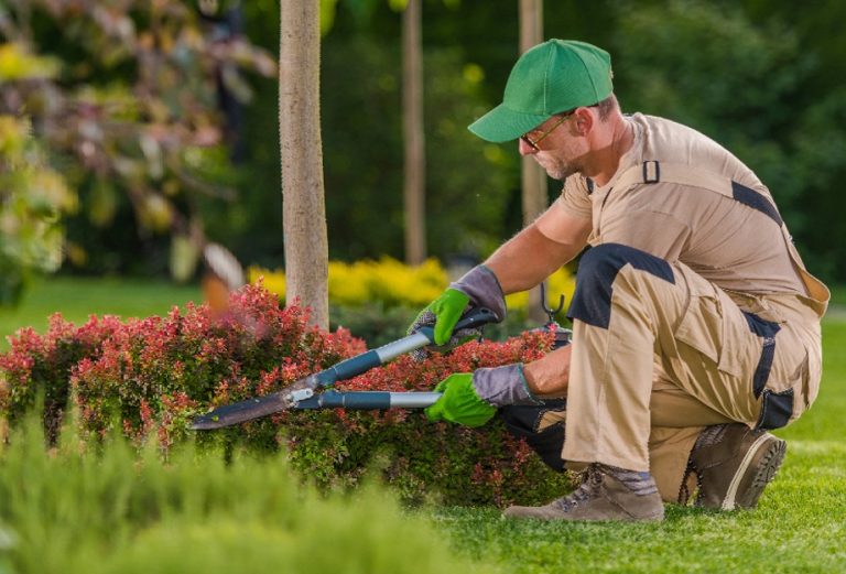 Gardening Care Services